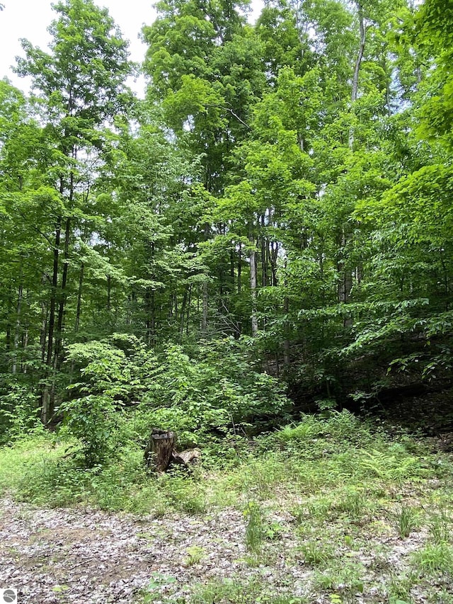 PARCEL3 Stark Rd, Mancelona, MI 49676