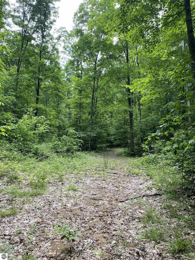 PARCEL3 Stark Rd, Mancelona, MI 49676