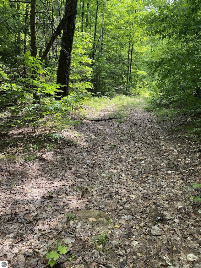 PARCEL3 Stark Rd, Mancelona, MI 49676