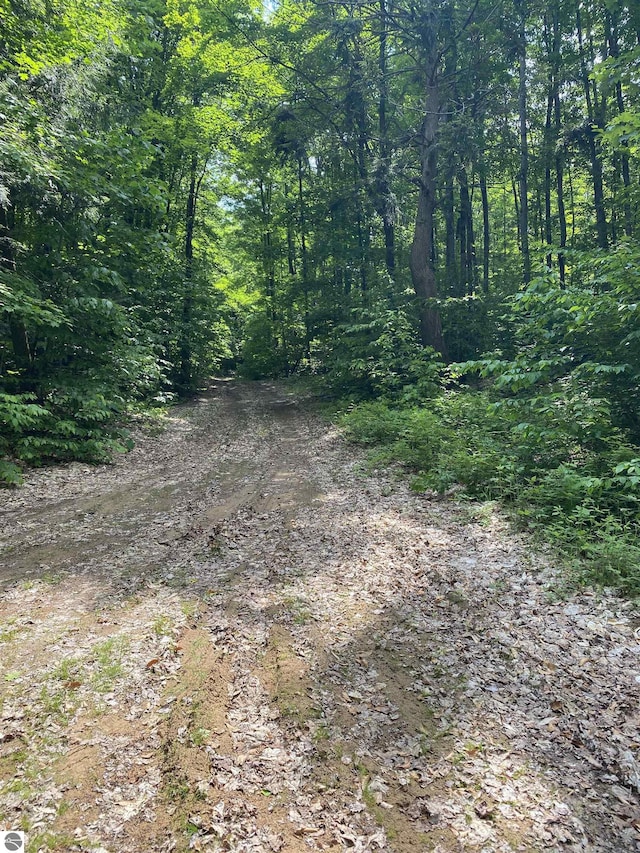 PARCEL3 Stark Rd, Mancelona, MI 49676