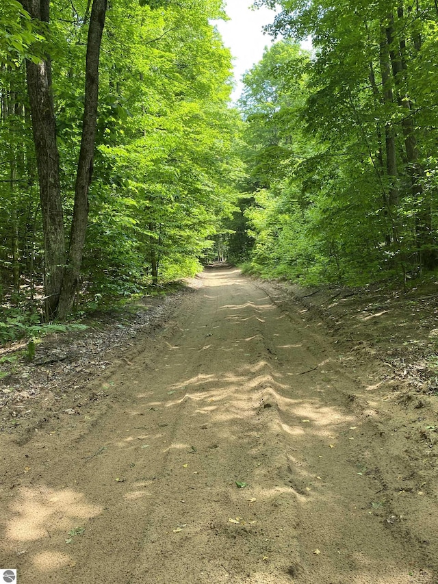 PARCEL3 Stark Rd, Mancelona, MI 49676