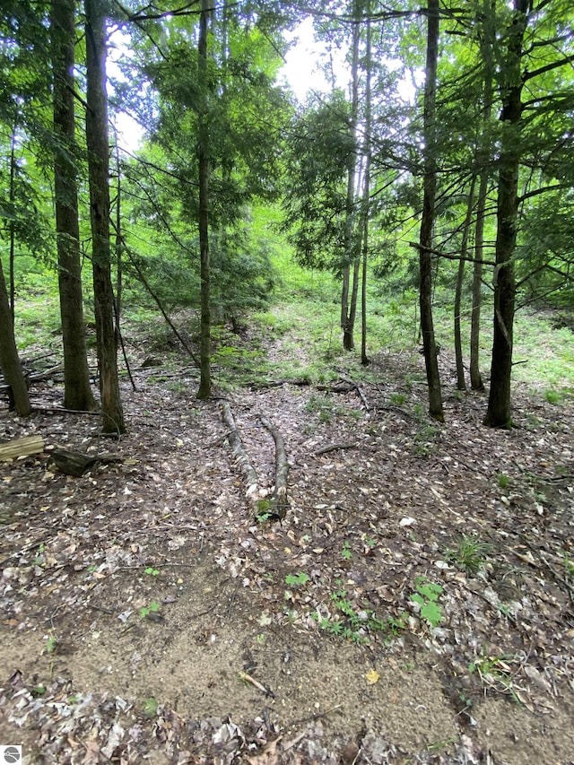 PARCEL3 Stark Rd, Mancelona, MI 49676