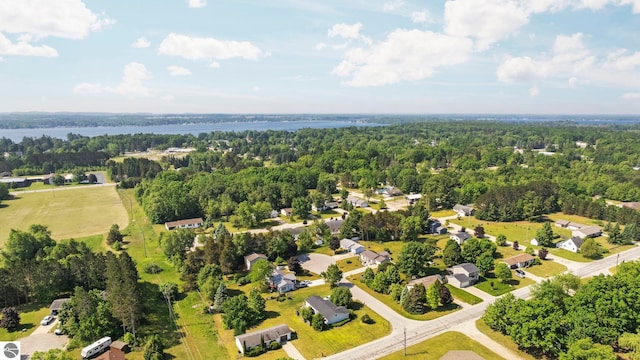 1708 Ketha Dr, Cadillac, MI 49601 - aerial view of a forest