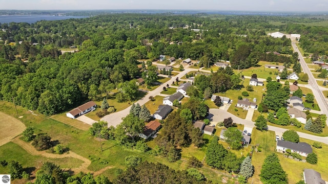 1708 Ketha Dr, Cadillac, MI 49601 - aerial view of residential area featuring a heavily wooded area