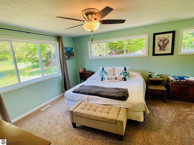 801 N Bridge St, Bellaire, MI 49615 - bedroom featuring carpet floors, a textured ceiling, multiple windows, and a ceiling fan