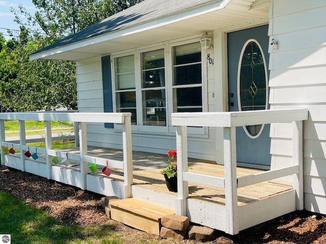 801 N Bridge St, Bellaire, MI 49615 - property entrance