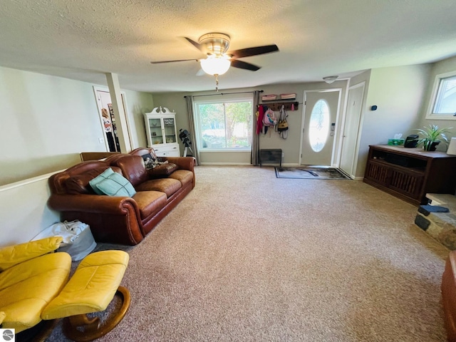 801 N Bridge St, Bellaire, MI 49615 - carpeted living room featuring a ceiling fan, plenty of natural light, and a textured ceiling