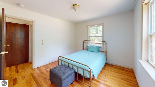 7500 Five Lakes Dr, Farwell, MI 48622 - bedroom with light wood-type flooring