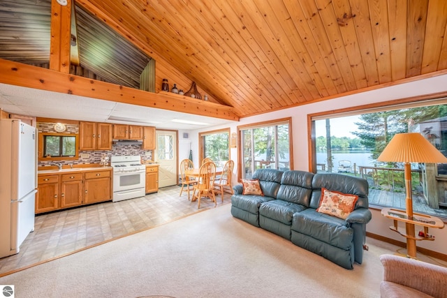 16530 Lonesome Trl, Leroy, MI 49655 - living area featuring lofted ceiling, a water view, light carpet, and wooden ceiling