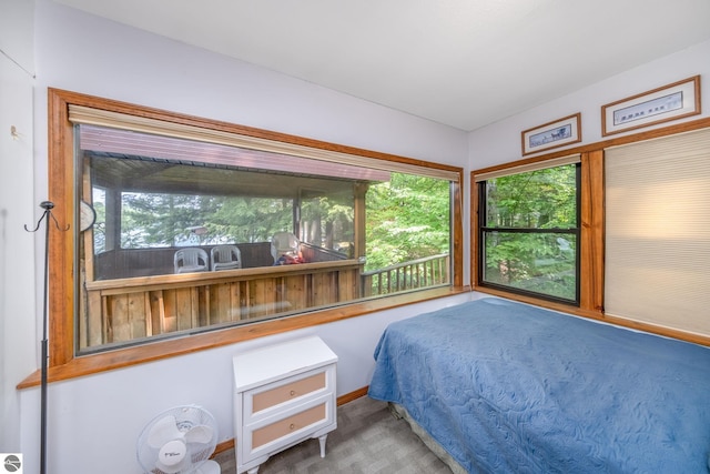 16530 Lonesome Trl, Leroy, MI 49655 - view of carpeted bedroom