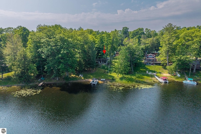 16530 Lonesome Trl, Leroy, MI 49655 - water view