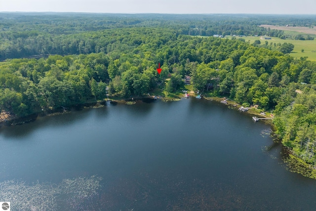 16530 Lonesome Trl, Leroy, MI 49655 - aerial view of a nearby body of water and a heavily wooded area