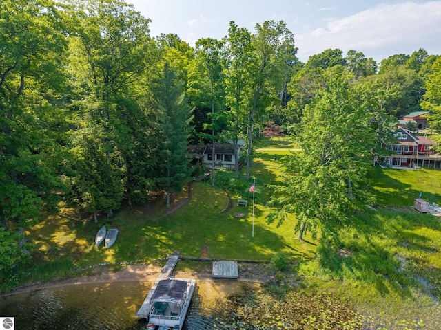 16530 Lonesome Trl, Leroy, MI 49655 - drone / aerial view