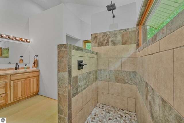 1849 W 24th Rd, Boon, MI 49618 - bathroom featuring walk in shower and vanity