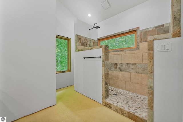 1849 W 24th Rd, Boon, MI 49618 - bathroom featuring healthy amount of natural light, a walk in shower, lofted ceiling, and recessed lighting