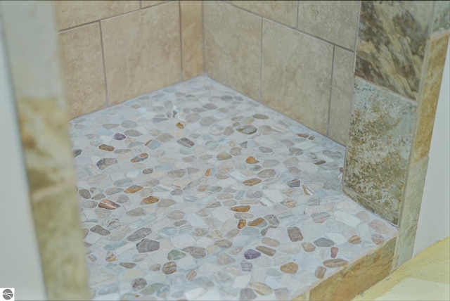 1849 W 24th Rd, Boon, MI 49618 - bathroom view