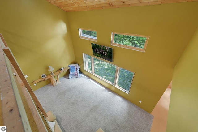 1849 W 24th Rd, Boon, MI 49618 - living room featuring carpet flooring, wood ceiling, and a skylight