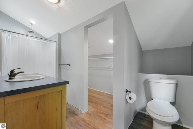 1849 W 24th Rd, Boon, MI 49618 - full bathroom with vaulted ceiling, vanity, wood finished floors, a spacious closet, and a shower with shower curtain