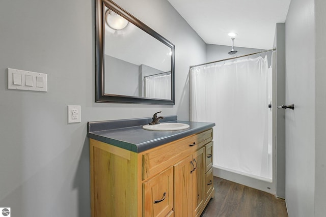 1849 W 24th Rd, Boon, MI 49618 - bathroom featuring vanity, wood finished floors, and a shower with curtain
