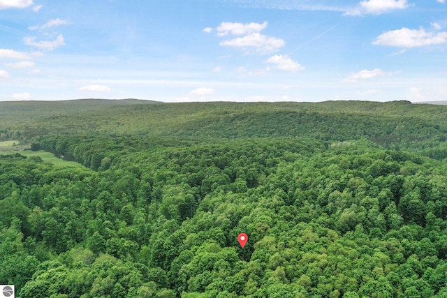 1849 W 24th Rd, Boon, MI 49618 - aerial view of a forest