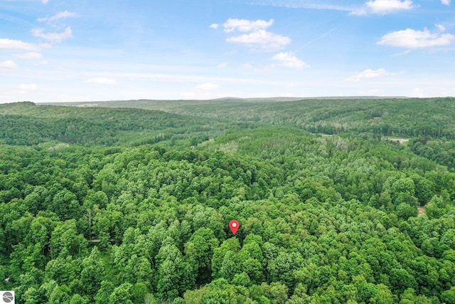 1849 W 24th Rd, Boon, MI 49618 - drone / aerial view of a forest
