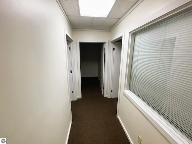 407 S Main St, Leland, MI 49654 - hallway with dark carpet and a drop ceiling