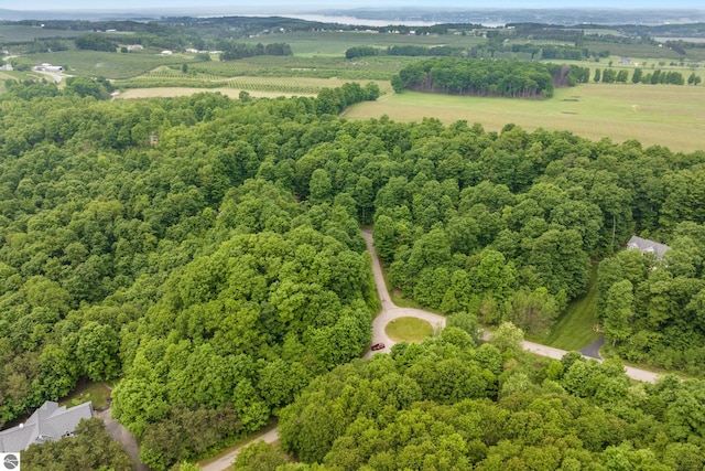 6352 S Westwood Pkwy, Suttons Bay, MI 49682 - drone / aerial view of a forest
