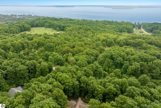 6352 S Westwood Pkwy, Suttons Bay, MI 49682 - drone / aerial view of a forest and a large body of water
