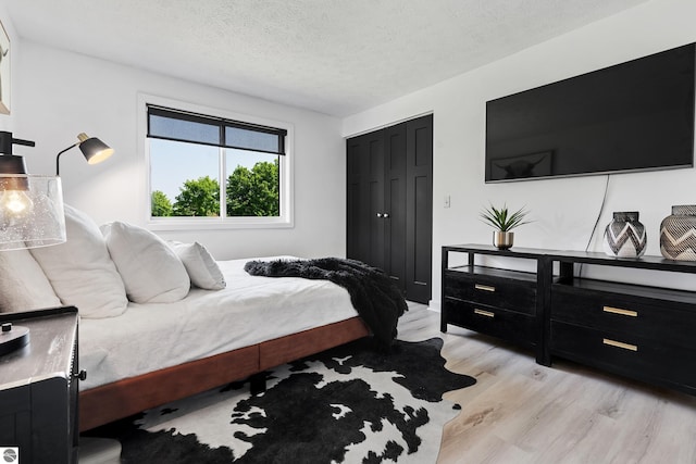 1259 Lin Dale Dr, Traverse City, MI 49686 - bedroom with light wood finished floors, a textured ceiling, and a closet