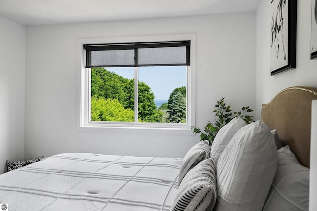 1259 Lin Dale Dr, Traverse City, MI 49686 - bedroom featuring multiple windows