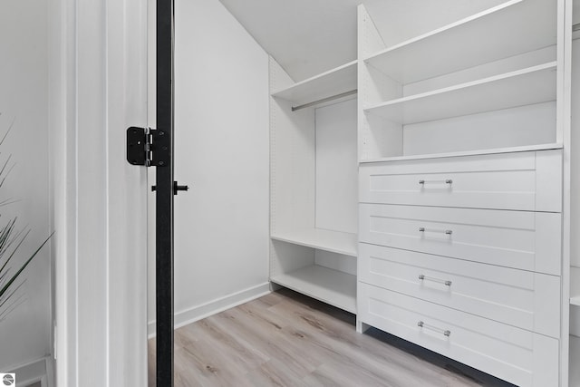 1259 Lin Dale Dr, Traverse City, MI 49686 - spacious closet featuring light wood-style flooring