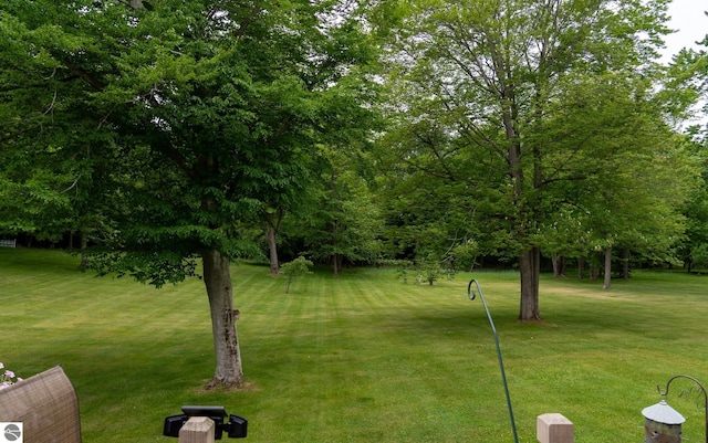 10200 S Lake Station Ave, Lake, MI 48632 - view of green lawn