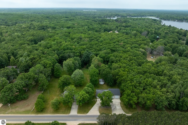 10200 S Lake Station Ave, Lake, MI 48632 - aerial view of a heavily wooded area and a nearby body of water