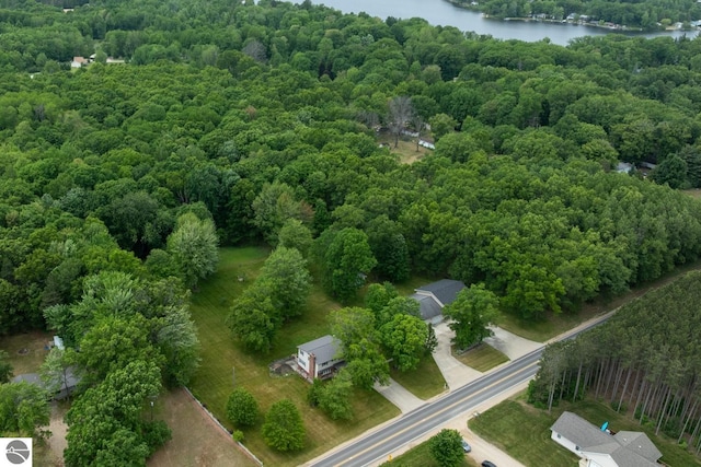 10200 S Lake Station Ave, Lake, MI 48632 - drone / aerial view of a forest and a nearby body of water