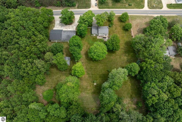 10200 S Lake Station Ave, Lake, MI 48632 - aerial overview of property's location