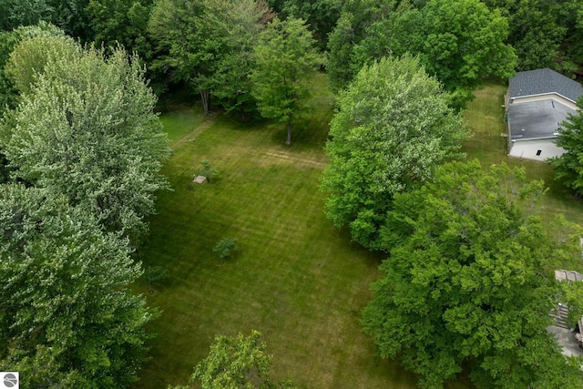 10200 S Lake Station Ave, Lake, MI 48632 - view of subject property