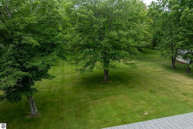 10200 S Lake Station Ave, Lake, MI 48632 - view of grassy yard