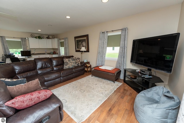 10200 S Lake Station Ave, Lake, MI 48632 - living area featuring healthy amount of natural light, light wood-type flooring, and recessed lighting