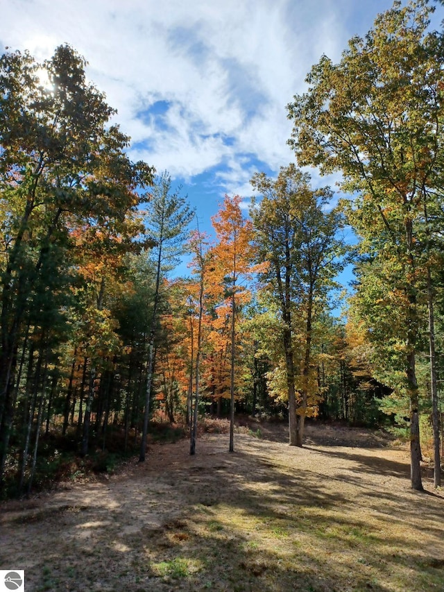1379 Kunze Rd, East Tawas, MI 48730 - view of yard with a view of trees