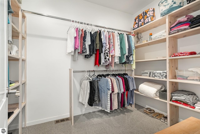 1379 Kunze Rd, East Tawas, MI 48730 - walk in closet featuring carpet floors