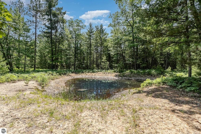 1379 Kunze Rd, East Tawas, MI 48730 - view of tree filled area