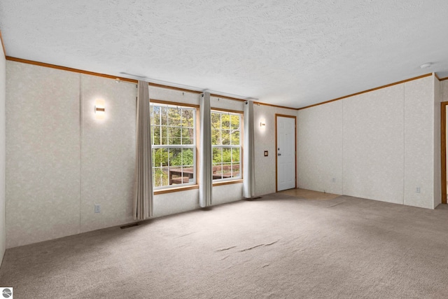11748 NE Franklin St, Kalkaska, MI 49646 - unfurnished room with ornamental molding, carpet floors, a textured ceiling, and a smoke detector