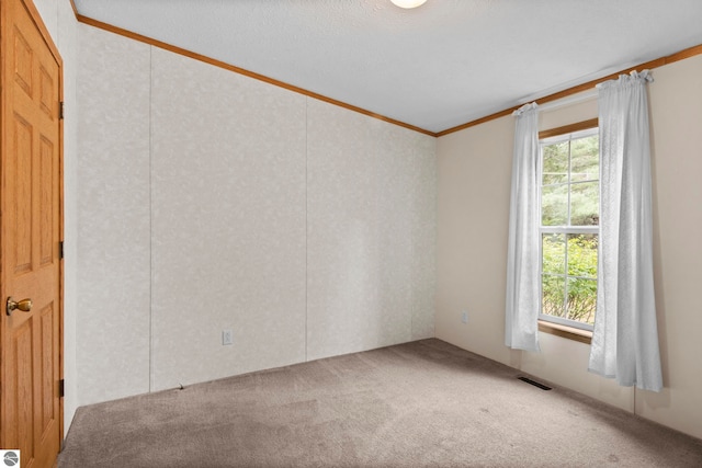 11748 NE Franklin St, Kalkaska, MI 49646 - empty room with crown molding and carpet