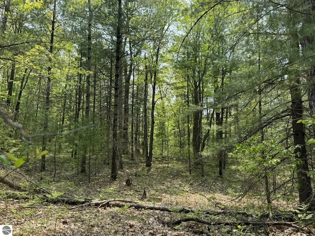 11748 NE Franklin St, Kalkaska, MI 49646 - view of tree filled area