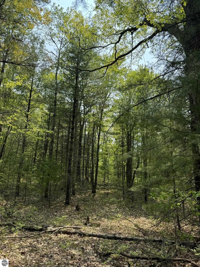 11748 NE Franklin St, Kalkaska, MI 49646 - view of woods