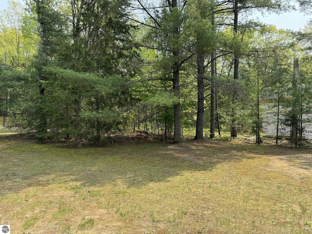 11748 NE Franklin St, Kalkaska, MI 49646 - view of yard featuring a wooded view