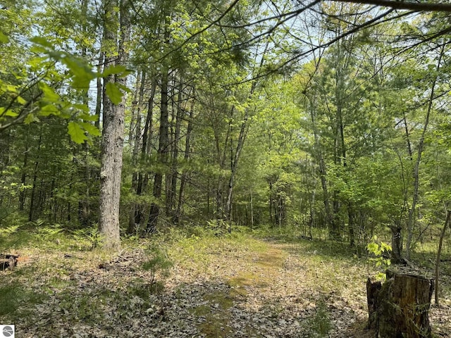 11748 NE Franklin St, Kalkaska, MI 49646 - view of tree filled area