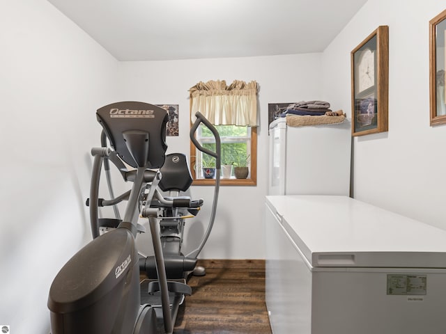 16933 3rd St, Copemish, MI 49625 - workout area featuring dark wood finished floors