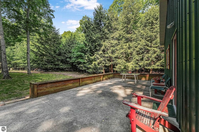 405 E Shetland Trl, Cedar, MI 49621 - view of patio