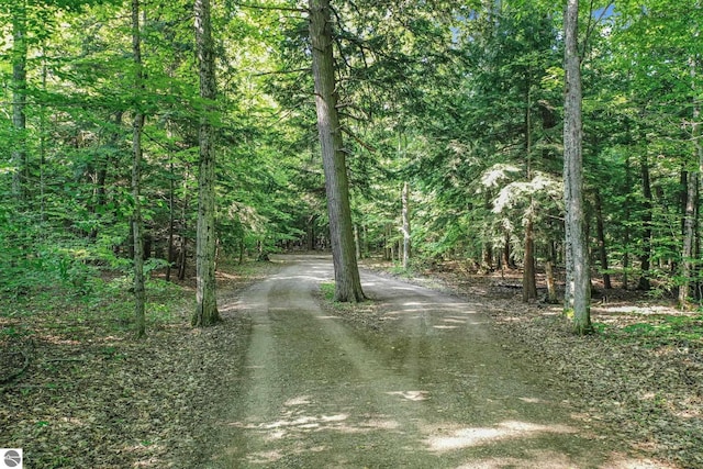 405 E Shetland Trl, Cedar, MI 49621 - view of street featuring a view of trees